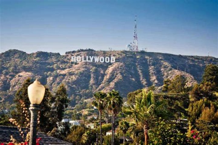 See The Stunning Pic – Hollywood Life