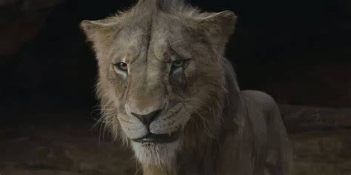 Shahadi Wright Joseph: I Got To Add ‘My Own Personal Style’ To Young Nala In Live-Action ‘Lion King’