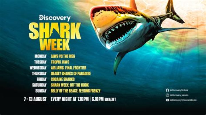Shark Week 2014 Fashion: Celebrate With These Fashionable Finds