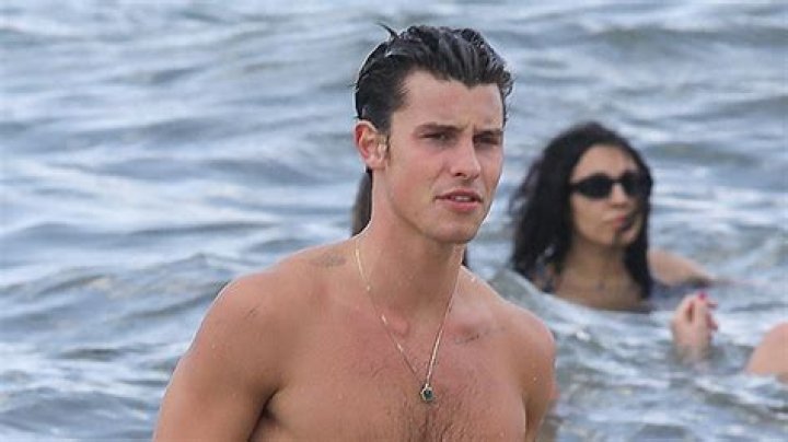 Shawn Mendes Goes For Shirtless Beach Swim After Running Into Ex Camila Cabello At Met Gala