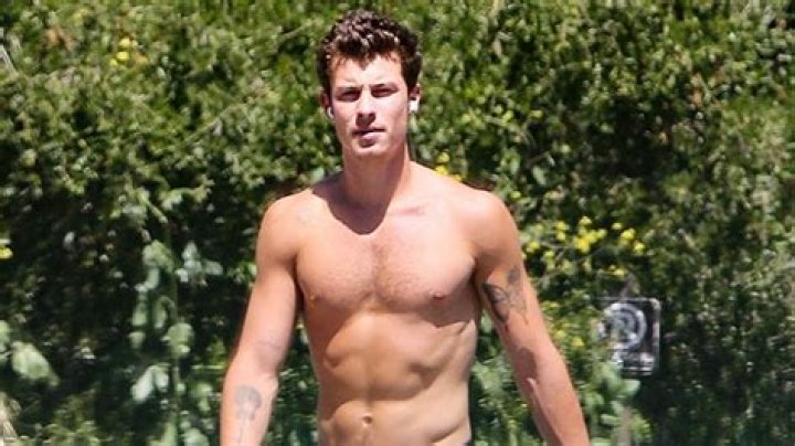 Shawn Mendes Goes Shirtless In New Mental Health Awareness Photos – Hollywood Life