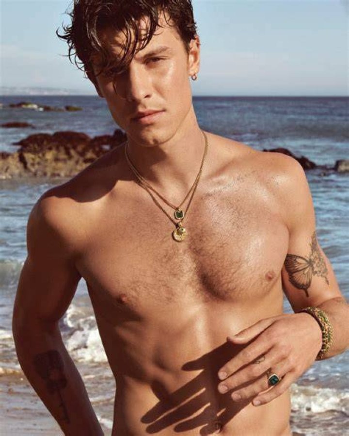 Shawn Mendes Goes Shirtless On Australian Beach & Now We’re Gasping For Air — See Pics