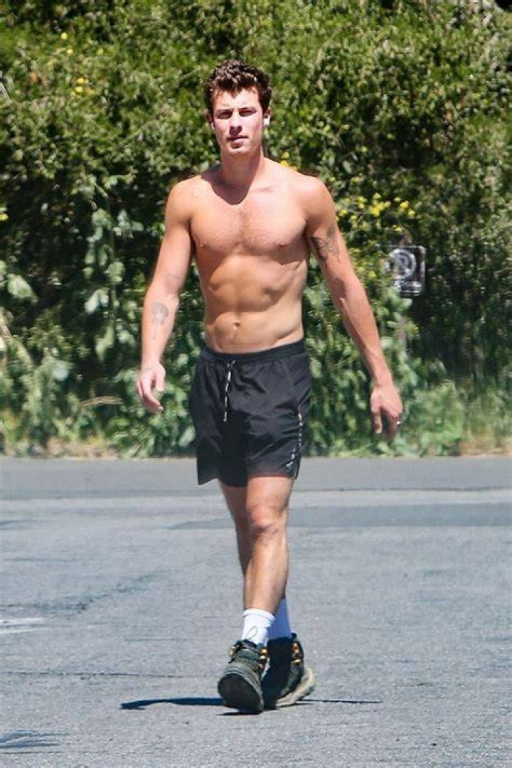 Shawn Mendes Is Spotted Shirtless During A Walk: Photos – Hollywood Life
