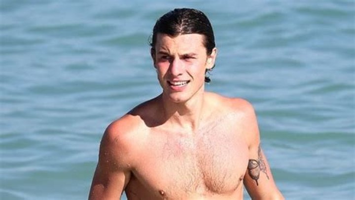 Shawn Mendes Moonwalks Shirtless While Sharing Snippet Of New Song: Watch