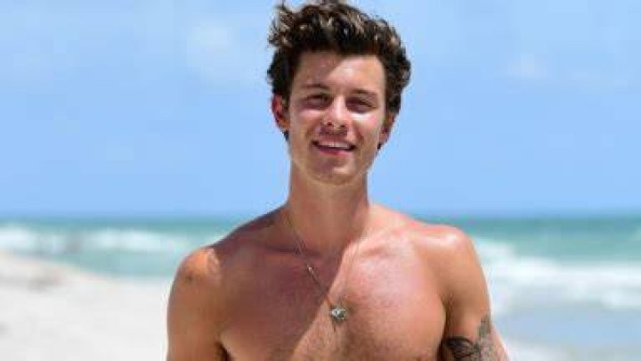Shawn Mendes Reveals His Brutal Sunburn In Shirtless Photos On Mexico City Trip