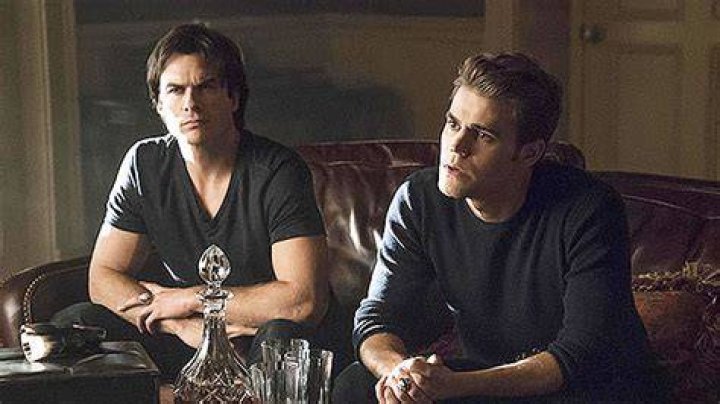 Stefan To Make ‘The Originals’ Cameo Again? Paul Wesley Spills – Hollywood Life