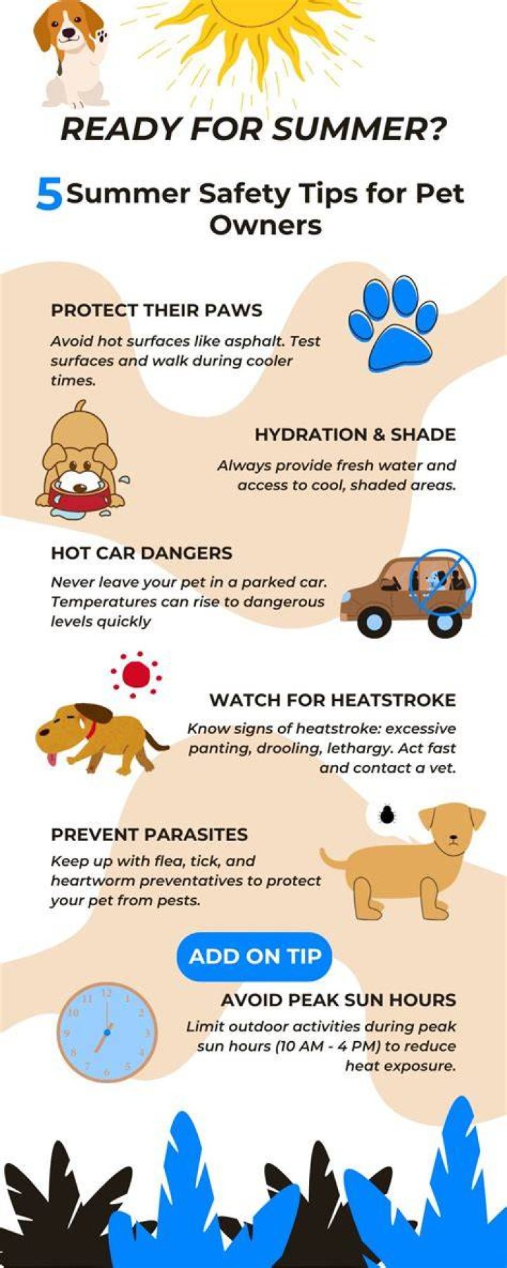 Teach Your Dog How To Swim & More Tips For Pet Owners This Summer