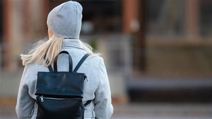 This Stylish Backpack Goes With Every Outfit & It’s Pickpocket-Proof