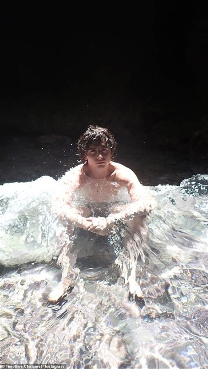Timothee Chalamet Posts Shirtless Photos On Instagram – Hollywood Life