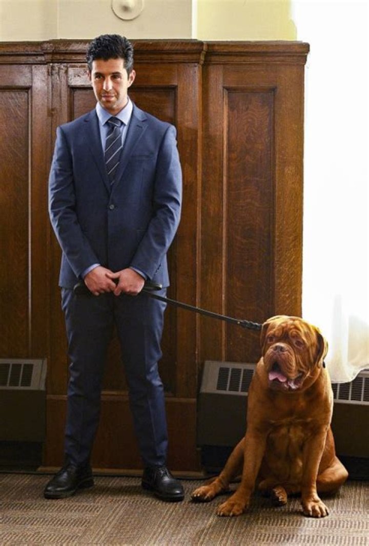 ‘Turner & Hooch’ — Photos Of Josh Peck’s Reboot Of The Classic Movie – Hollywood Life