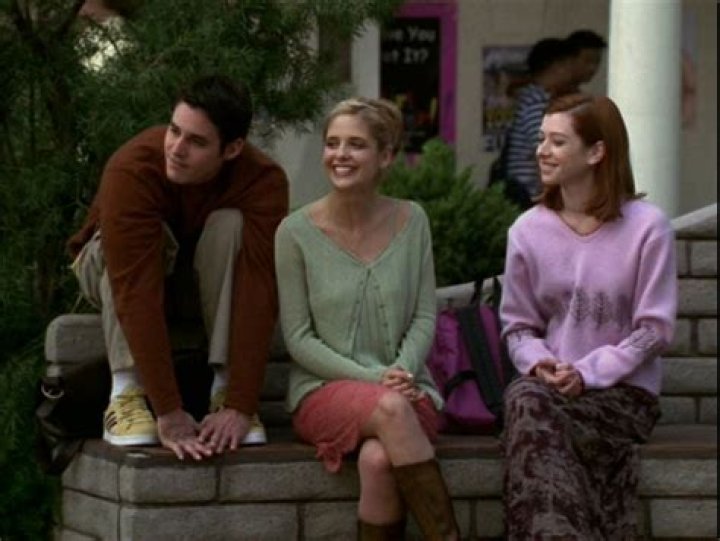 TV Sidekicks — Photos