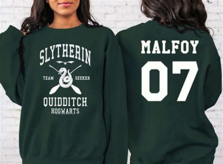 Vanessa Bryant Proves She’s The Ultimate ‘Harry Potter’ Fan With Slytherin Sweatshirt — Pic