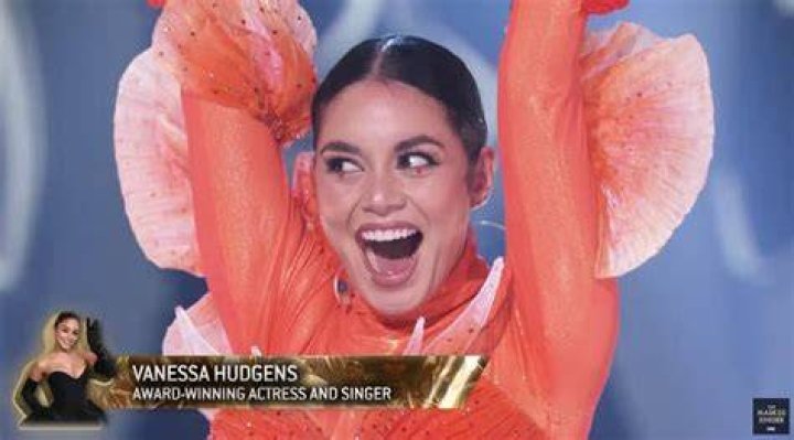 Vanessa Hudgens ‘Feels Terrible’ About Her Coronavirus Remarks: How She Plans To Make Up For it