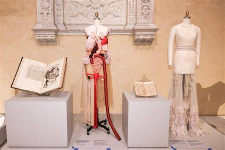 Where is the Met Gala Held? About The Museum & Costume Institute – Hollywood Life