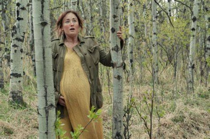 Who Is Ashley Johnson? She Plays Ellie’s Mom In ‘The Last Of Us’ – Hollywood Life