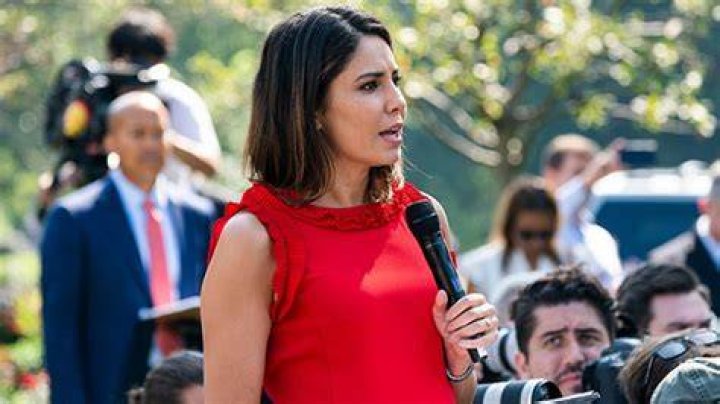Who Is Cecilia Vega? Facts About Reporter Who Donald Trump Insulted – Hollywood Life
