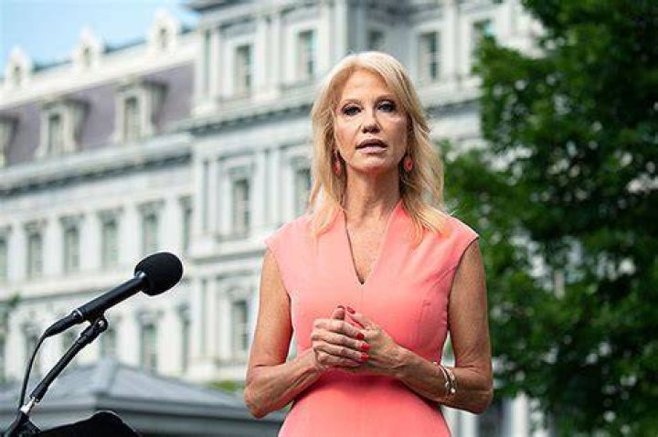 Who Is Kellyanne Conway? — 5 Things About The Political Advisor – Hollywood Life