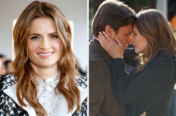 Who Is Stana Katic? — 5 Facts About Kate Beckett From ‘Castle’ – Hollywood Life