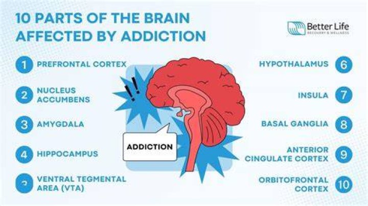 Why Was He Allegedly Addicted To Drugs? – Hollywood Life